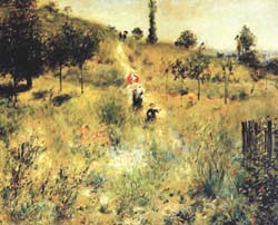 Path Winding through The High Grass