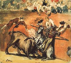 Bullfight