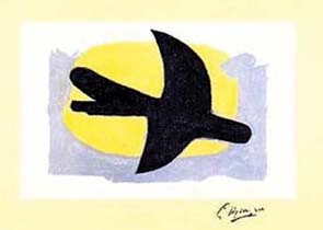 Blue and Yellow Bird