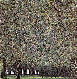 Der Park