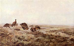 J�sef Chelmonski, Bustards